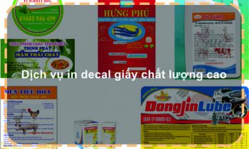 Dịch vụ in decal giấy chất lượng cao