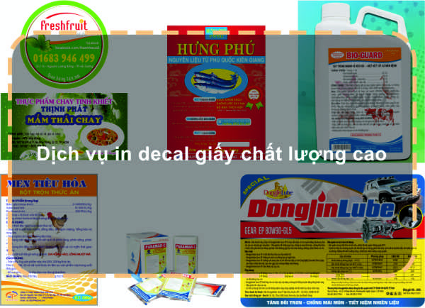 Dịch vụ in decal giấy chất lượng cao