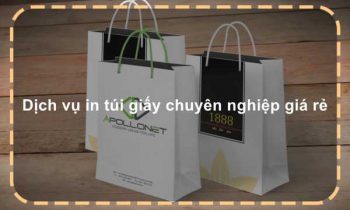 Dịch vụ in túi giấy chuyên nghiệp giá rẻ