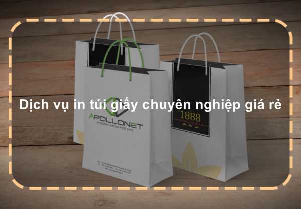 Dịch vụ in túi giấy chuyên nghiệp giá rẻ