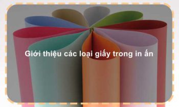 Giới thiệu các loại giấy trong in ấn