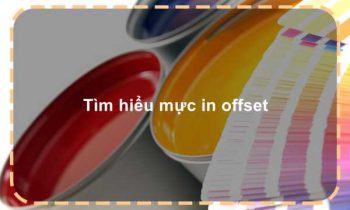 Tìm hiểu mực in offset